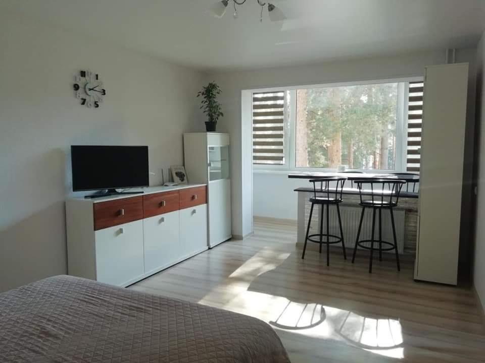 Light One Room Apartment Visaginas Exterior photo