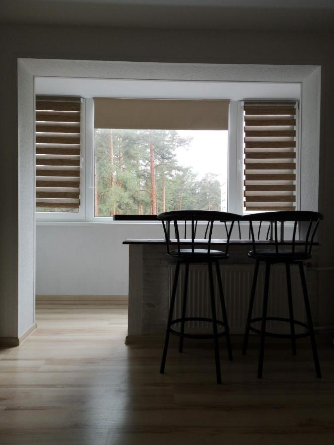 Light One Room Apartment Visaginas Exterior photo